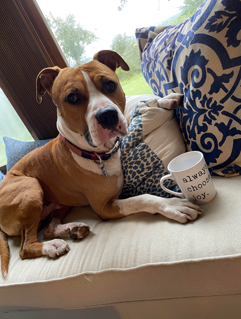 Coffee Mug -Always Choose Joy